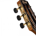 Cort elektro-klasszikus gitár Fishman elektronikával, prémium tokkal, Tobacco Sunburst