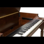 Hammond XK-5 classic orgona alsó manuál