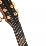 Cort akusztikus gitár, oldalsó hanglyukakkal, Fishman elektronikával, félkemény tokkal, áttetsző bordó - elérhető 2026 júniusa után
